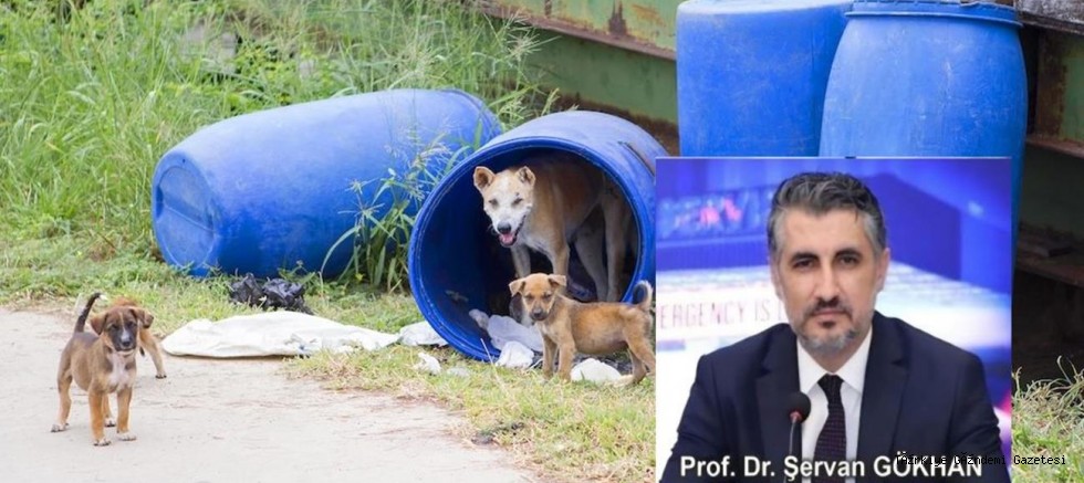 Entegre Sağlık: 21. Yüzyılın Sağlık, Güvenlik ve Ekonomi Paradigması