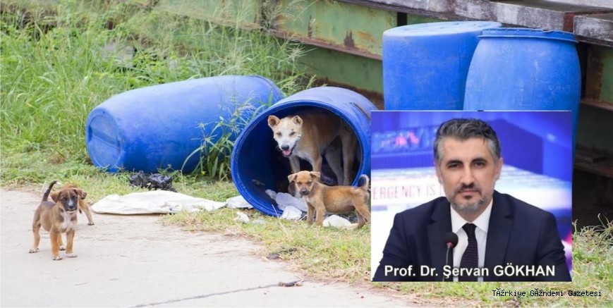 Entegre Sağlık: 21. Yüzyılın Sağlık, Güvenlik ve Ekonomi Paradigması