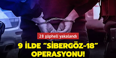 9 ilde “Sibergöz-18” operasyonu: 28 şüpheli yakalandı