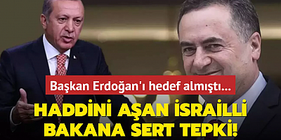 Başkan Erdoğan'ı hedef almıştı... Haddini aşan İsrailli bakana sert tepki!
