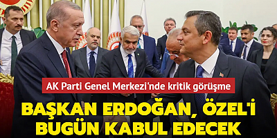 Başkan Erdoğan, Özgür Özel'i bugün kabul edecek: Yeni anayasa çalışmaları masada