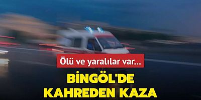 Bingöl'de kahreden kaza: Ölü ve yaralılar var..