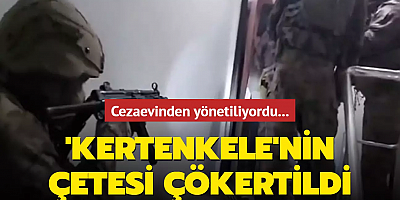 Bir organize suç örgütü daha çökertildi