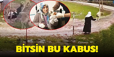 Bitsin bu kabus