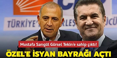CHP Erzincan Milletvekili Mustafa Sarıgül Gürsel Tekin'e sahip çıktı! Özgür Özel'e isyan bayrağı açtı