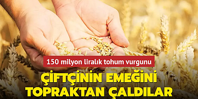 Çiftçinin emeğini topraktan çaldılar! 150 milyon liralık tohum vurgunu