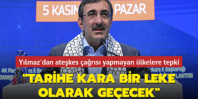Cumhurbaşkanı Yardımcısı Yılmaz'dan ateşkes çağrısı yapmayan ülkelere tepki: 