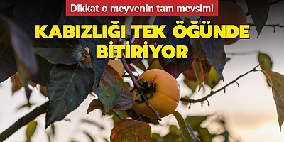 Dikkat o meyvenin tam mevsimi! Kem küm etmeden tüketin! Kabızlık tek öğünde bitiyor