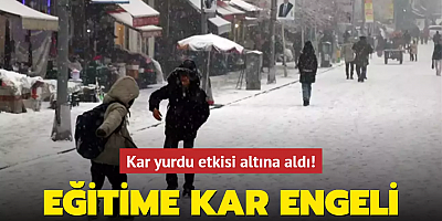 Eğitime kar engeli: İşte son dakika okulların tatil edildiği iller
