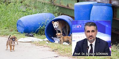 Entegre Sağlık: 21. Yüzyılın Sağlık, Güvenlik ve Ekonomi Paradigması