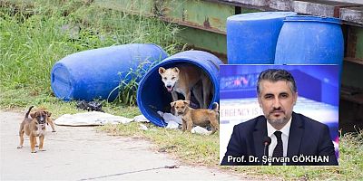 Entegre Sağlık: 21. Yüzyılın Sağlık, Güvenlik ve Ekonomi Paradigması