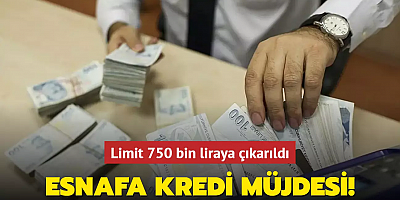   Esnafa kredi müjdesi! Limit 750 bin liraya çıkarıldı