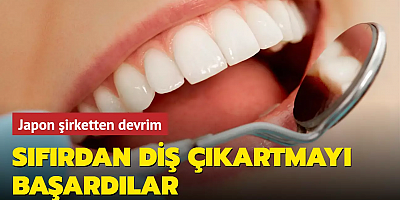 Japon şirketten devrim: Sıfırdan diş çıkartmayı başardılar