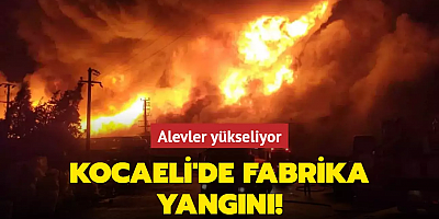 Kocaeli'de fabrika yangını! Alevler yükseliyor