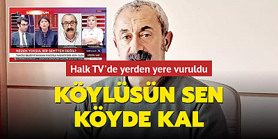 Köylüsün sen köyde kal
