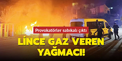 Lince gaz veren yağmacı!