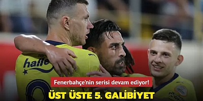 Maç Sonucu: Alanyaspor 0-1 Fenerbahçe
