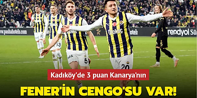 MAÇ SONUCU: Fenerbahçe 2-1 MKE Ankaragücü