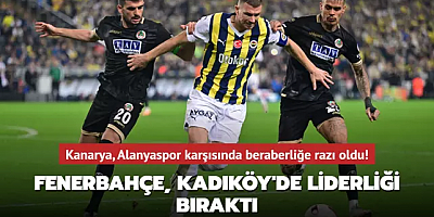 MAÇ SONUCU: Fenerbahçe 2-2 Alanyaspor