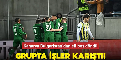 Maç Sonucu: Ludogorets 2-0 Fenerbahçe