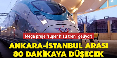 Mega proje 