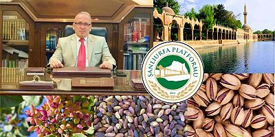 MEHMET KAYIK ŞANLIURFA FISTIĞININ TÜRKİYE'DE 'ANTEP FISTIĞI' ADI ALTINDA TANINMASINA TEPKİ GÖSTERDİ