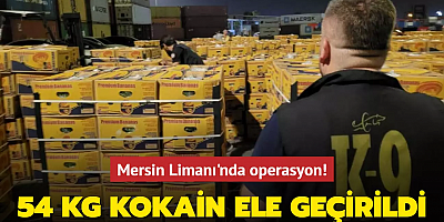 Mersin Limanı'nda operasyon! 54 kg kokain ele geçirildi