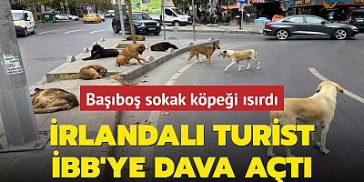 Metro durağında başıboş sokak köpeği ısırdı... İrlandalı turist İBB'ye dava açtı