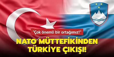 NATO müttefikinden Türkiye çıkışı: Çok önemli bir ortağımız!