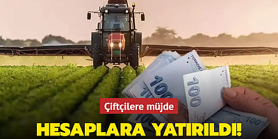 Tarımsal destekleme ödemeleri yatırıldı! Çiftçilere müjde
