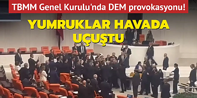 TBMM Genel Kurulu'nda DEM provokasyonu! Yumruklar havada uçuştu