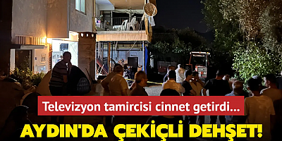 Televizyon tamircisi cinnet getirdi... Aydın'da çekiçli dehşet!