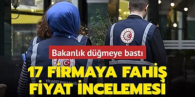 Ticaret Bakanlığı'ndan fahiş fiyat denetimi