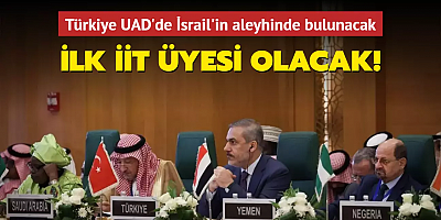 Türkiye İsrail'in soykırım davasına müdahil olacak: İlk İİT üyesi detayı